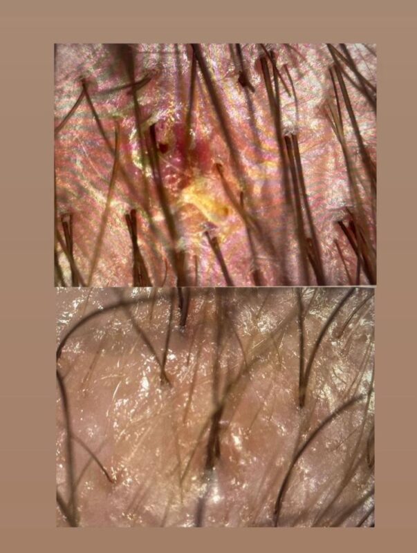 WhatsApp Image 2026-01-30 at 12.26.13 (1)